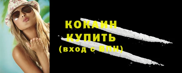 2c-b Богородицк